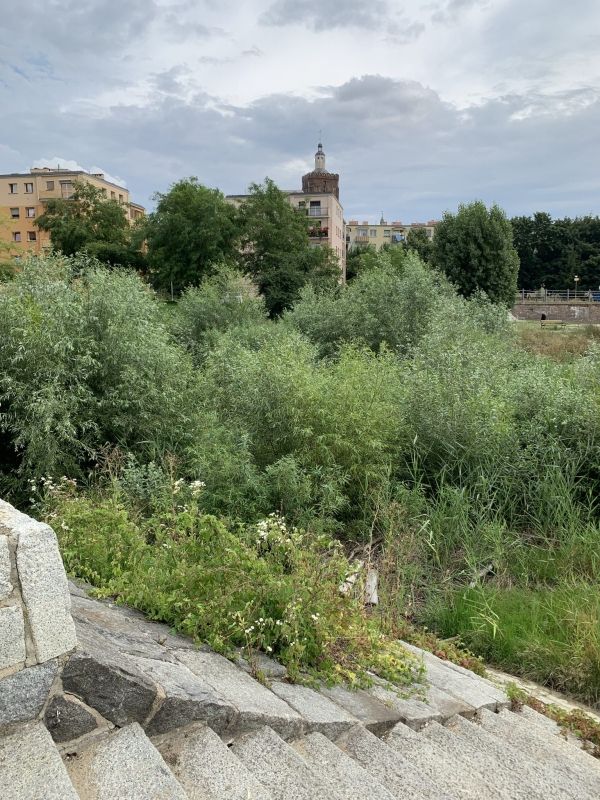 (3) Theater Island with the remains of the former City Theater