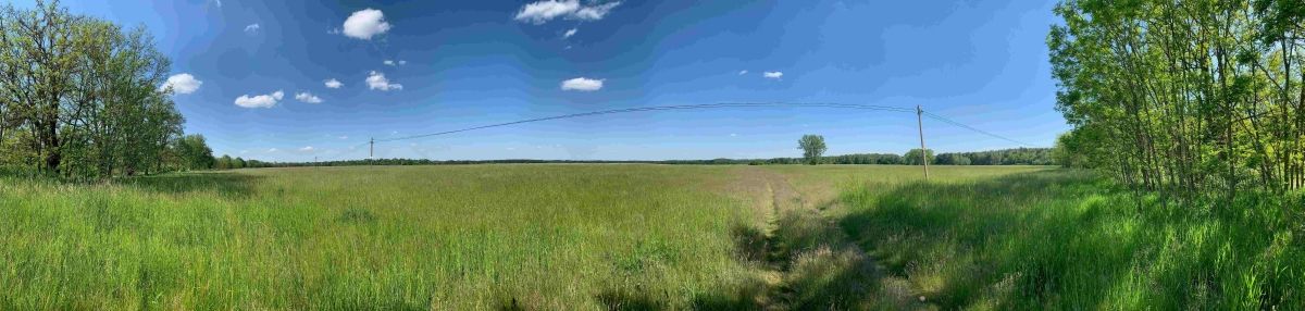 (2) Naturschutzgebiet Gubińskie Mokradła, ehemaliger Flughafen und militärischer Übungsplatz in Gubin