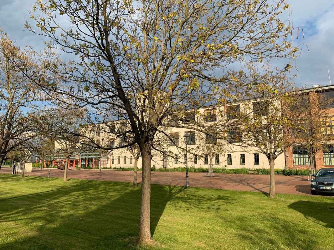 (4) Friedrich-Wilke-Platz mit Bibliothek, Musikschule und Alter Färberei