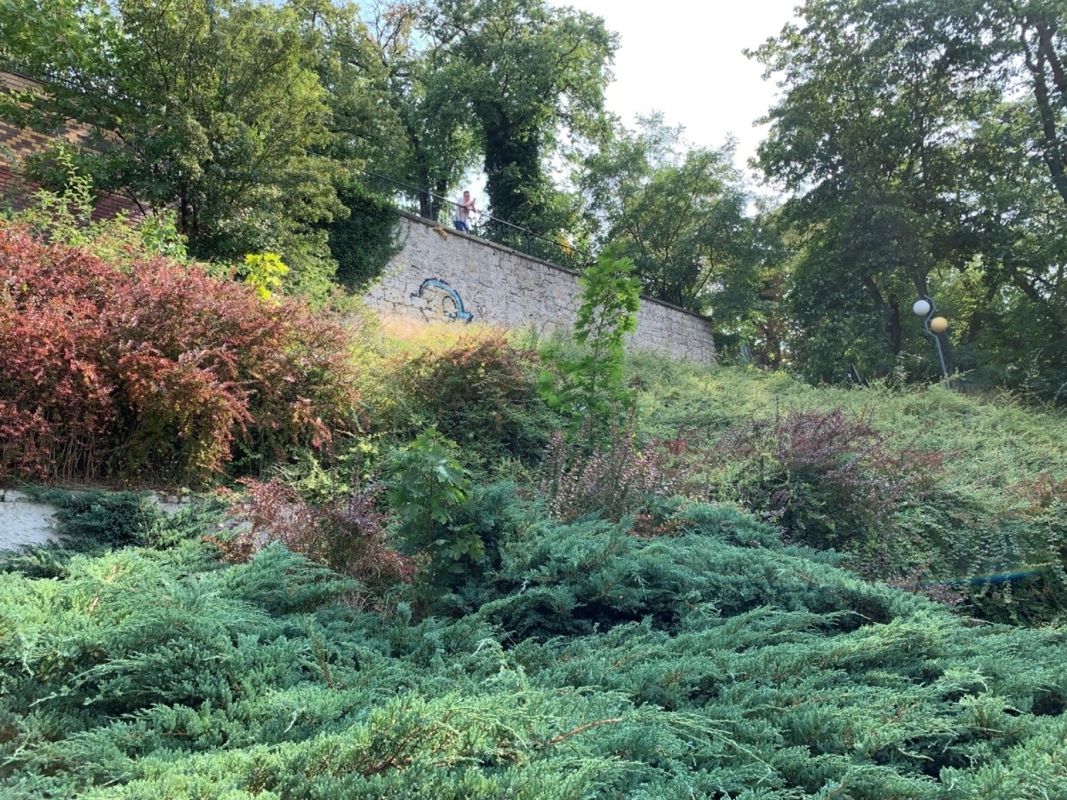 (5) Das ehemalige Amphitheater