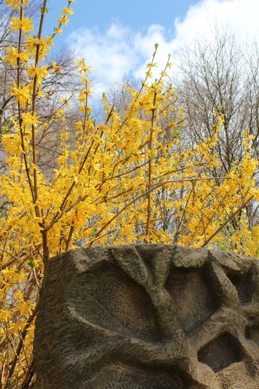 (5) Skulptur Baumtorso