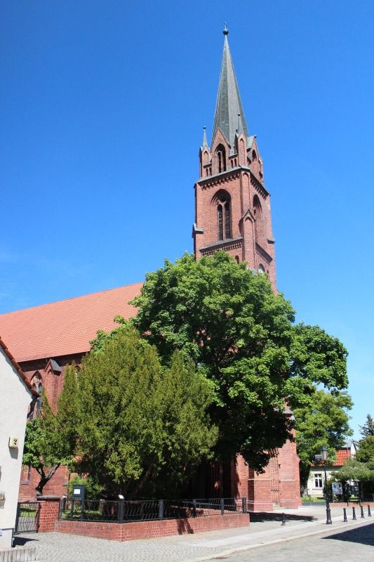 (2) Klosterkirche mit Resten der Klostermauer