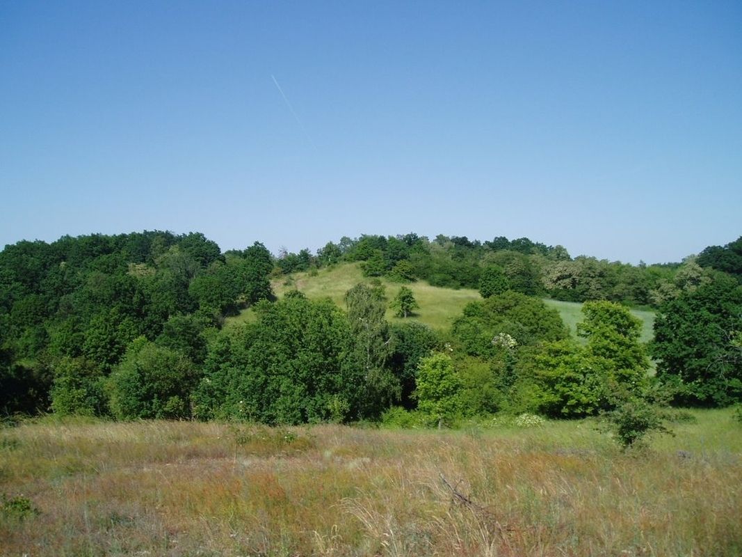 Gubin Hills (coal mines, the former Bismarck tower, the Mountain of Death, the Dębowiec nature reserve)